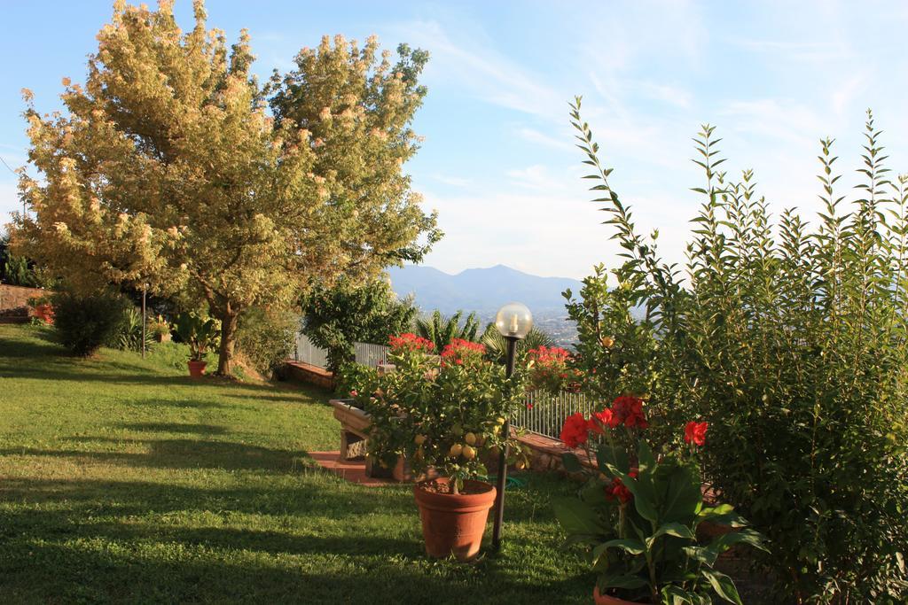 Ferienwohnung La Casa Dei Limoni Matraia Exterior foto